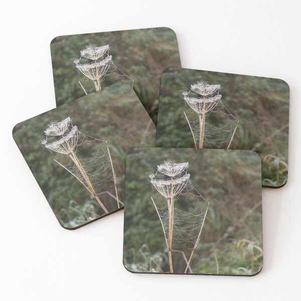 Item preview, Frozen Spider Webs designed and sold by Calidris Fotografie Steffi & Ben Köppler.