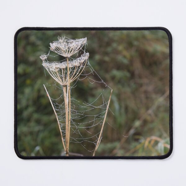 Item preview, Frozen Spider Webs designed and sold by Calidris Fotografie Steffi & Ben Köppler.