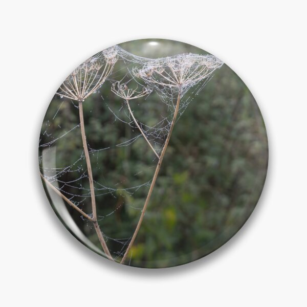 Item preview, Frozen Spider Webs designed and sold by Calidris Fotografie Steffi & Ben Köppler.
