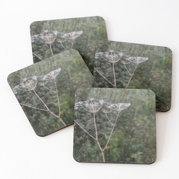Item preview, Frozen Spider Webs designed and sold by Calidris Fotografie Steffi & Ben Köppler.