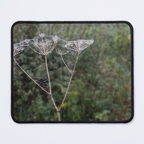 Item preview, Frozen Spider Webs designed and sold by Calidris Fotografie Steffi & Ben Köppler.