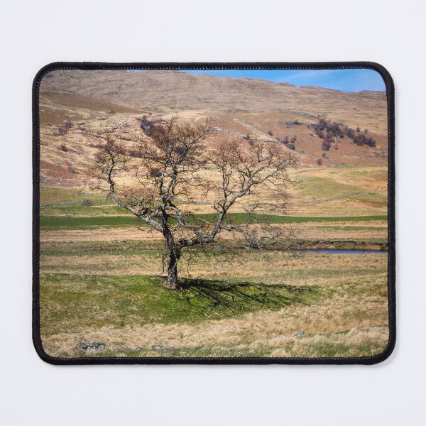 Item preview, Moorland Tree designed and sold by Dave Hare Photography.