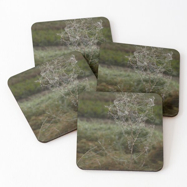 Item preview, Frozen Spider Webs designed and sold by Calidris Fotografie Steffi & Ben Köppler.