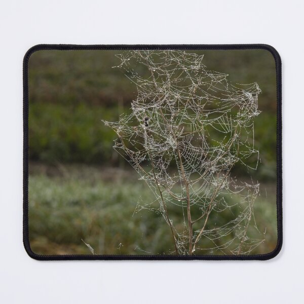 Item preview, Frozen Spider Webs designed and sold by Calidris Fotografie Steffi & Ben Köppler.