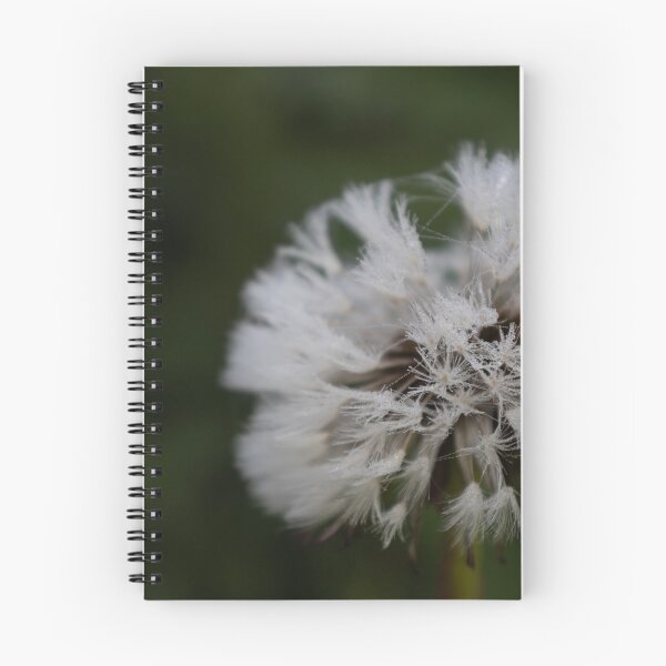 Item preview, Frozen Blowballs designed and sold by Calidris Fotografie Steffi & Ben Köppler.