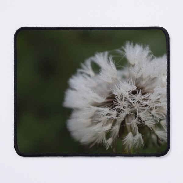 Item preview, Frozen Blowballs designed and sold by Calidris Fotografie Steffi & Ben Köppler.
