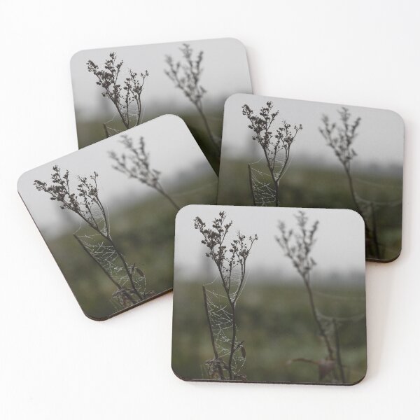 Item preview, Frozen Spider Webs designed and sold by Calidris Fotografie Steffi & Ben Köppler.
