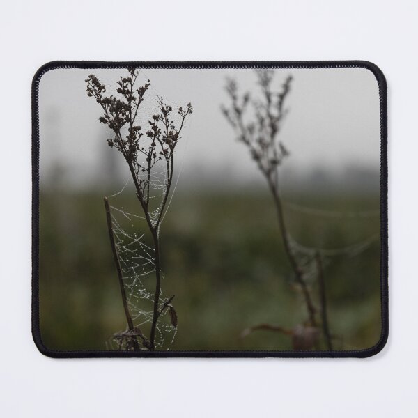 Item preview, Frozen Spider Webs designed and sold by Calidris Fotografie Steffi & Ben Köppler.