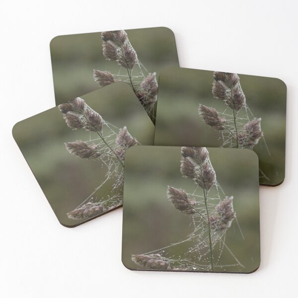 Item preview, Frozen Spider Webs designed and sold by Calidris Fotografie Steffi & Ben Köppler.