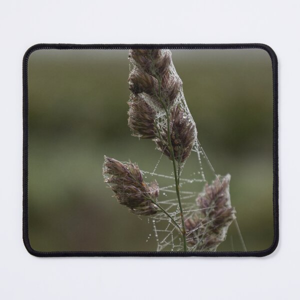 Item preview, Frozen Spider Webs designed and sold by Calidris Fotografie Steffi & Ben Köppler.