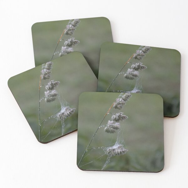 Item preview, Frozen Spider Webs designed and sold by Calidris Fotografie Steffi & Ben Köppler.