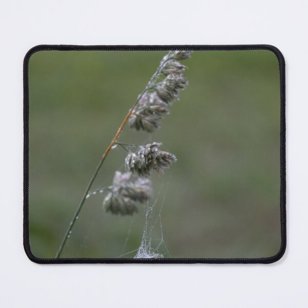 Item preview, Frozen Spider Webs designed and sold by Calidris Fotografie Steffi & Ben Köppler.