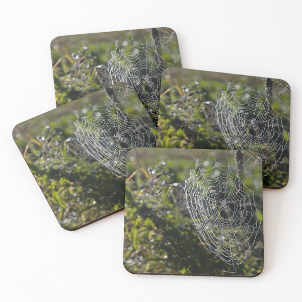 Item preview, Frozen Spider Webs designed and sold by Calidris Fotografie Steffi & Ben Köppler.