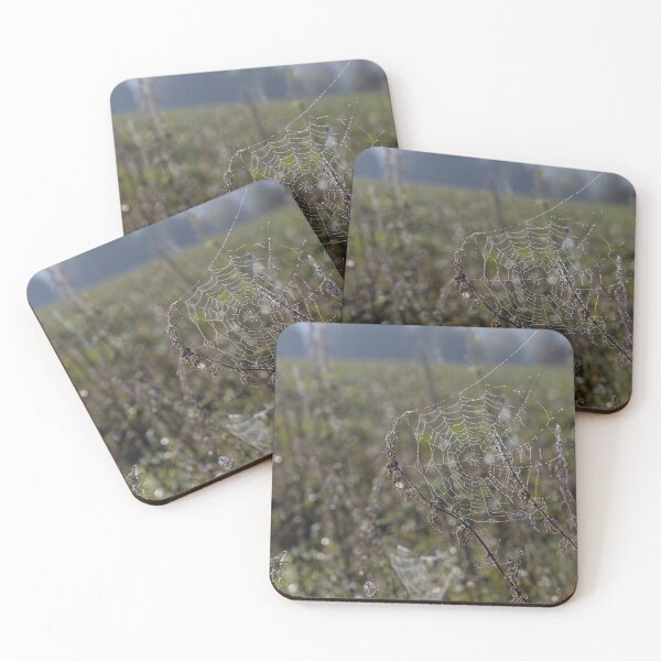 Item preview, Frozen Spider Webs designed and sold by Calidris Fotografie Steffi & Ben Köppler.