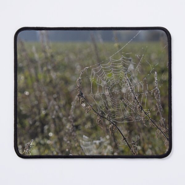 Item preview, Frozen Spider Webs designed and sold by Calidris Fotografie Steffi & Ben Köppler.