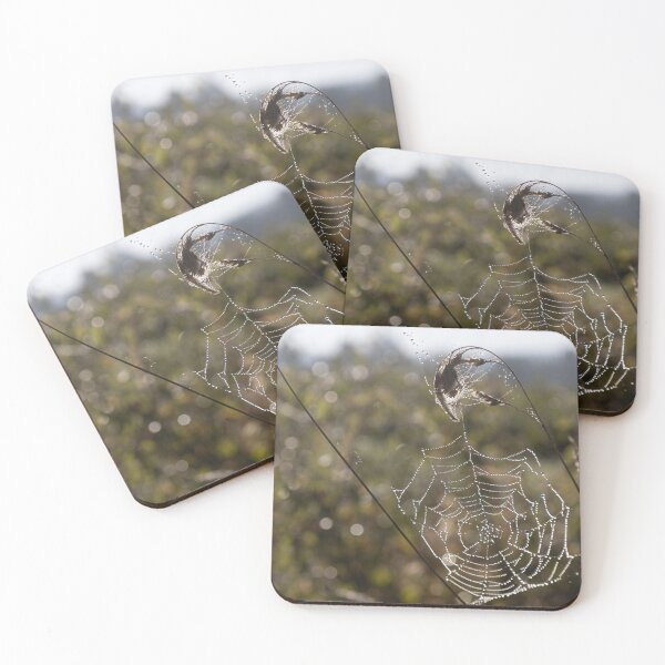 Item preview, Frozen Spider Webs designed and sold by Calidris Fotografie Steffi & Ben Köppler.
