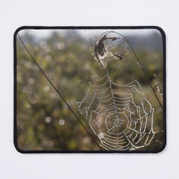 Item preview, Frozen Spider Webs designed and sold by Calidris Fotografie Steffi & Ben Köppler.