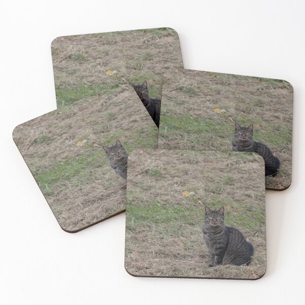 Item preview, Cat designed and sold by Calidris Fotografie Steffi & Ben Köppler.