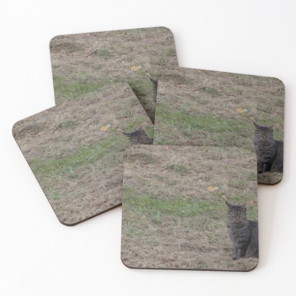 Item preview, Cat designed and sold by Calidris Fotografie Steffi & Ben Köppler.