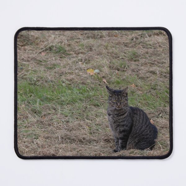 Item preview, Cat designed and sold by Calidris Fotografie Steffi & Ben Köppler.