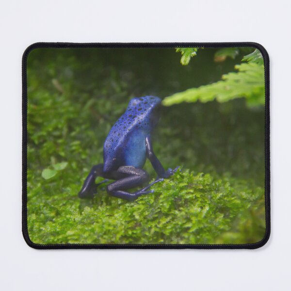 Artikelvorschau, Ein leuchtend blauer Frosch thront anmutig auf einem Bett aus üppigem, grünem Moos entworfen und verkauft von EyezWatchin.