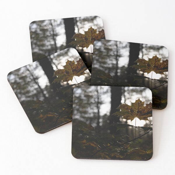 Item preview, Leaves designed and sold by Calidris Fotografie Steffi & Ben Köppler.