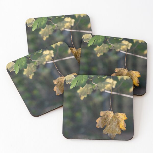 Item preview, Leaves designed and sold by Calidris Fotografie Steffi & Ben Köppler.