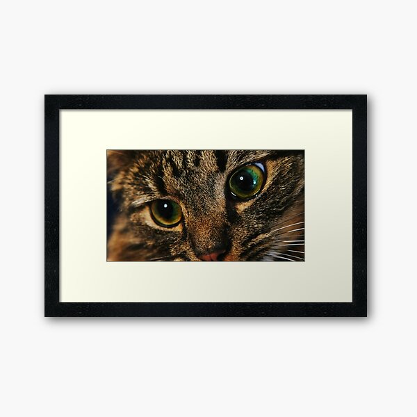 Item preview, Cat designed and sold by Adriiian.