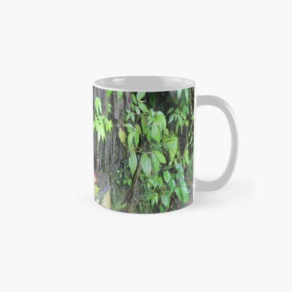 Forest Offering to the Gods Classic Mug
