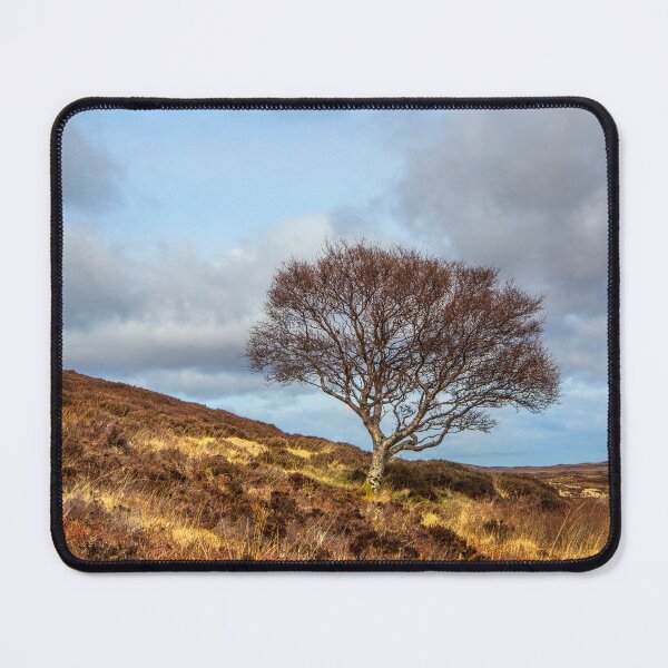 Item preview, Highland hillside tree designed and sold by Dave Hare Photography.