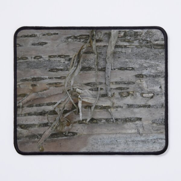 Item preview, A cherry bark designed and sold by Claude Laprise.