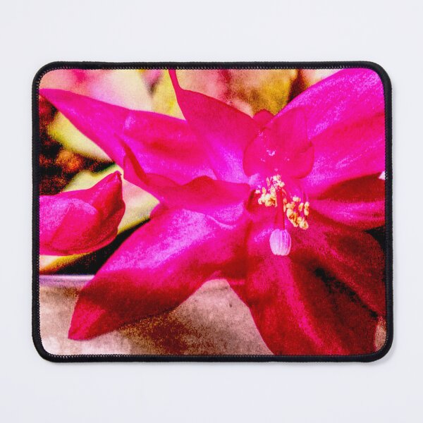 Item preview, Pink Christmas Cactus Bloom designed and sold by jalfc46.