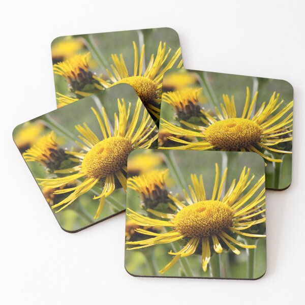 Item preview, Wild Sunflowers designed and sold by photoclique.