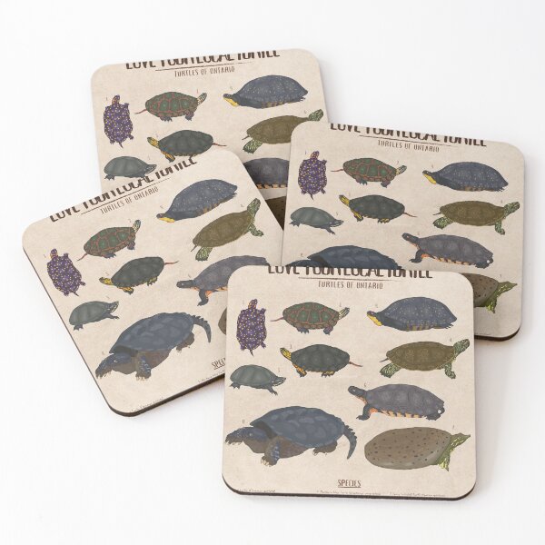 Item preview, Love Your Local Turtle | Turtles of Ontario  designed and sold by Lily Hamilton.