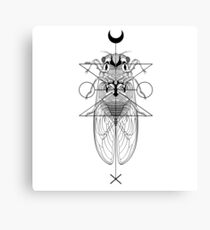 Fly insect Canvas Print
