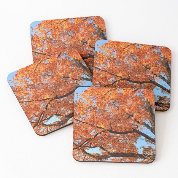 Item preview, Autumn Glory  designed and sold by photoclique.