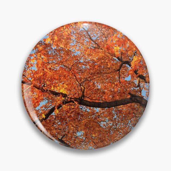 Item preview, Autumn Glory  designed and sold by photoclique.