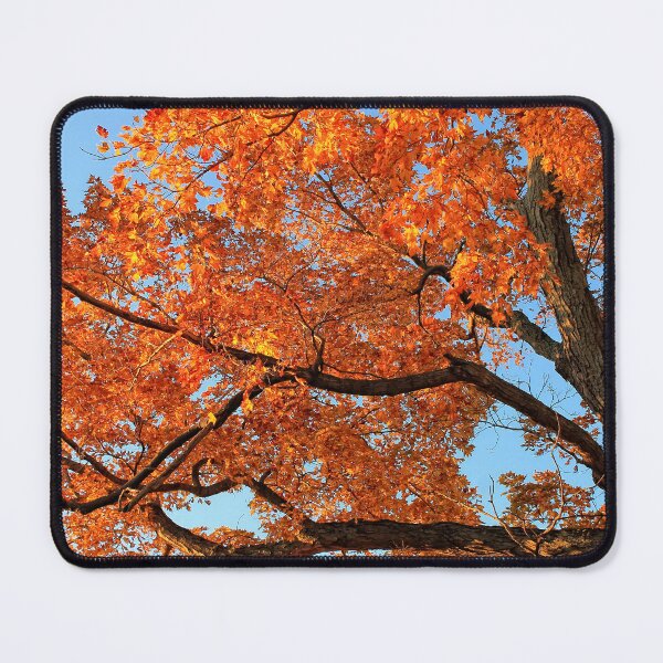 Item preview, Autumn Glory designed and sold by photoclique.