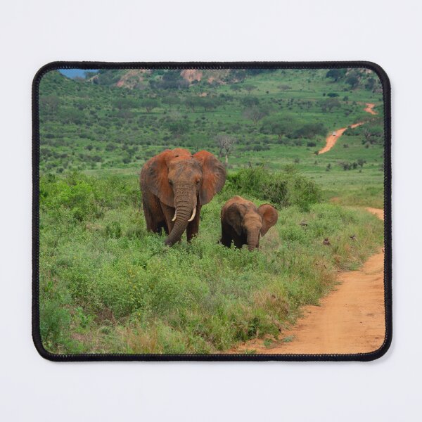 Item preview, Mom and Baby Elephant designed and sold by nat-takes-pics.