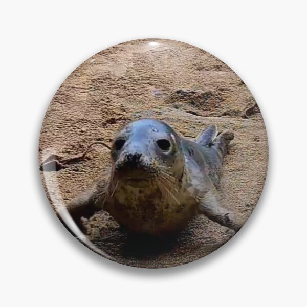 Item preview, Squidge the seal pup designed and sold by Cornwallart.