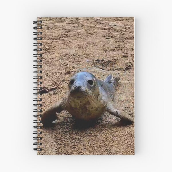 Item preview, Squidge the seal pup designed and sold by Cornwallart.