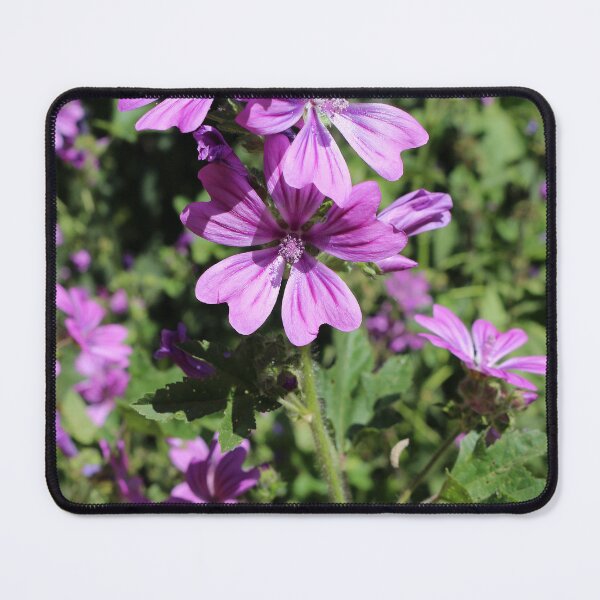Item preview, Mallow Flowers designed and sold by pinkal.