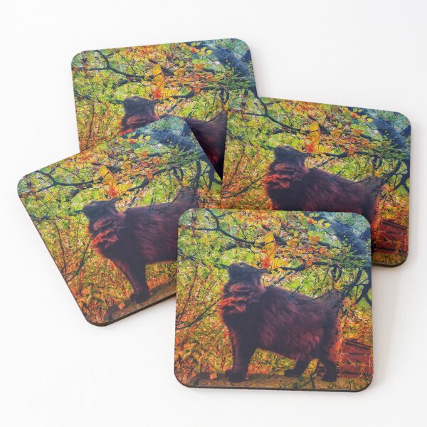 Item preview, A cat on the Meanwood Valley Trail designed and sold by dawnsm.