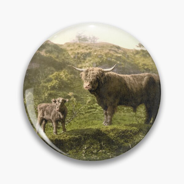 Item preview, Highland cattle in Dartmoor designed and sold by 19th Century in Color.