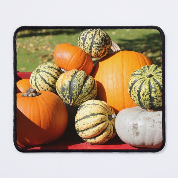 Item preview, Pumpkins designed and sold by pinkal.