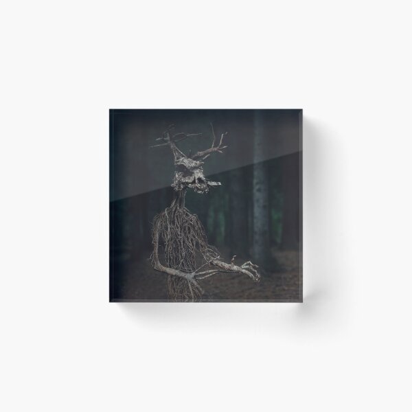 Item preview, Leshy designed and sold by EvaWald.