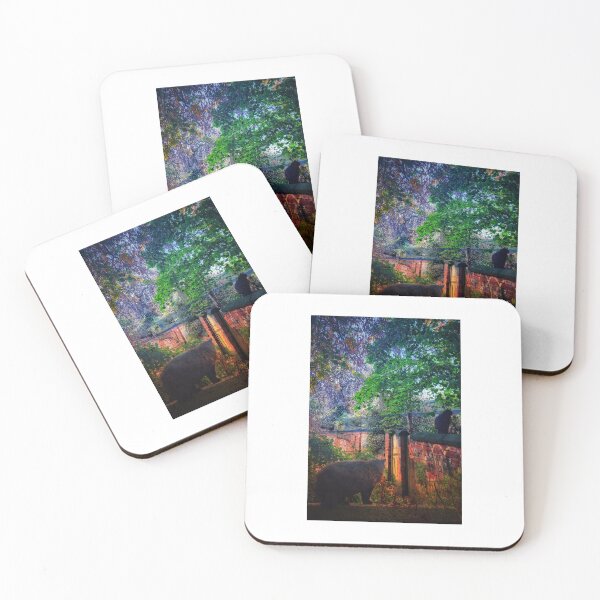 Item preview, Cats on the Meanwood Valley Trail II designed and sold by dawnsm.