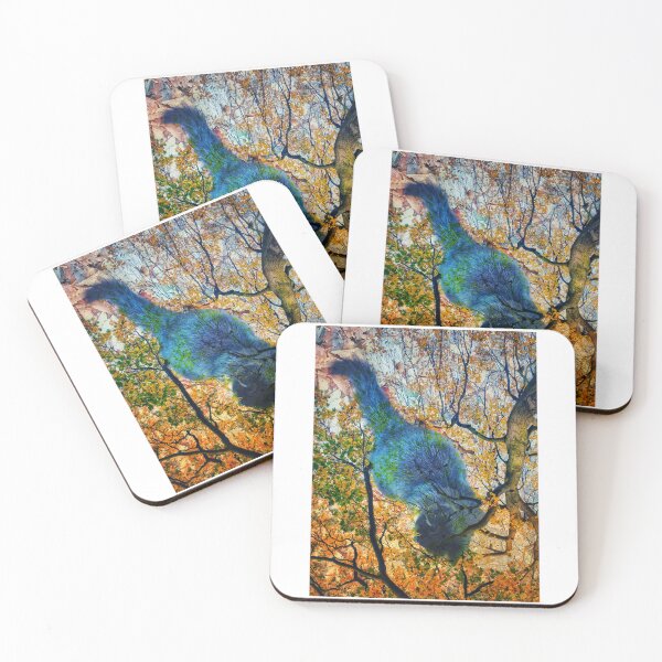 Item preview, A cat on the Meanwood Valley Trail III designed and sold by dawnsm.