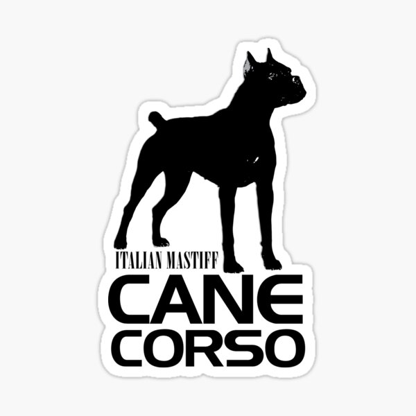 Dog Black Cane Corso Italian breed by Kavalenkava