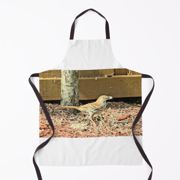 Item preview, Wood thrush designed and sold by Larrysphotos.